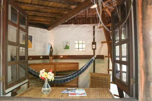 Nature Retreat with Healing Dogs in Brazil