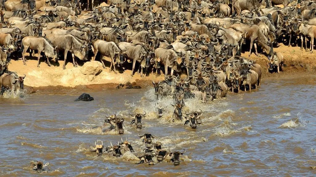 Mara Big Five Lodge