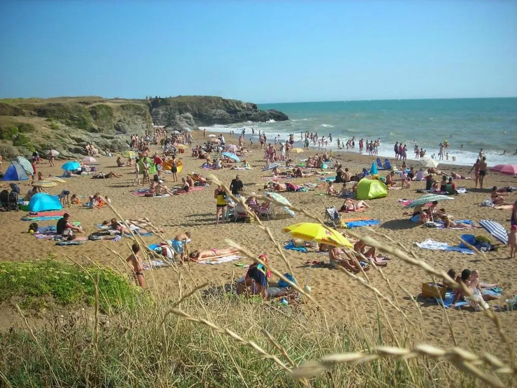 Magnifique T2 acces direct Plage - Saint-Hilaire-de-Riez - Vue Ocean