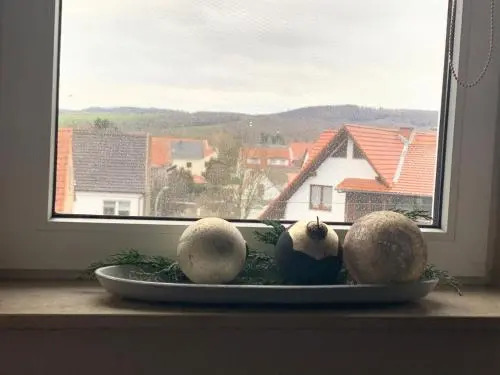 landpension-dette