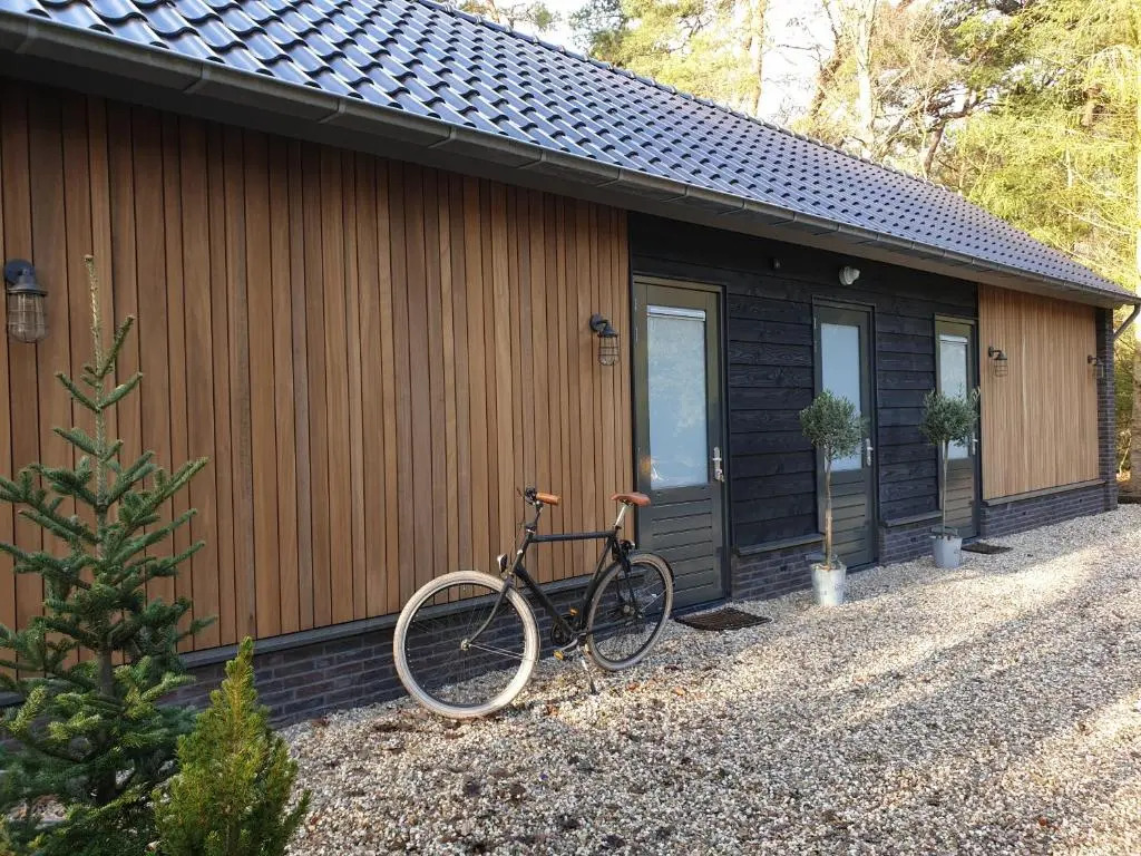 ForRest Suites