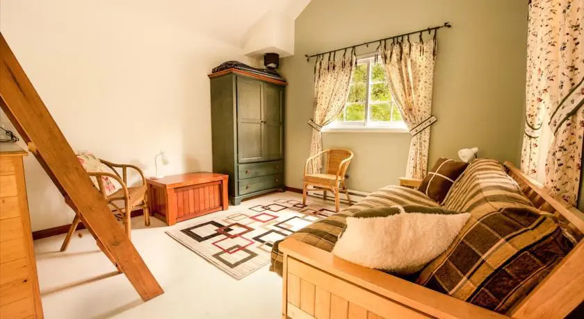 Stay Tofino Vacation Rentals