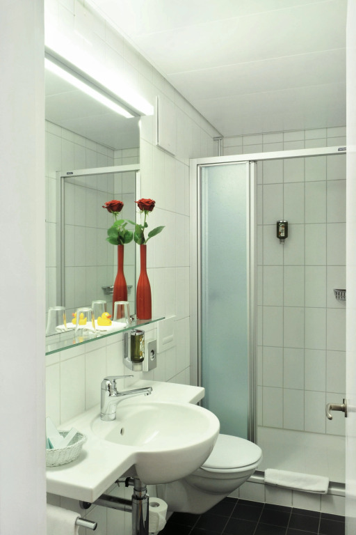 Sorell Hotel Arabelle Bern