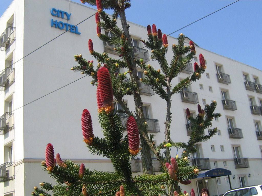 City Hotel Bucharest