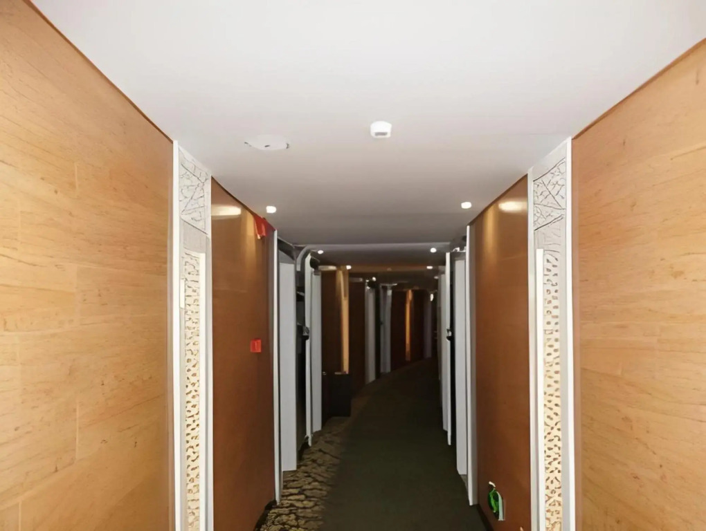 Happy Forest Hotel