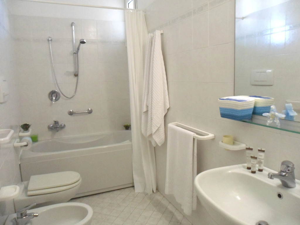 Hotel New Zanarini