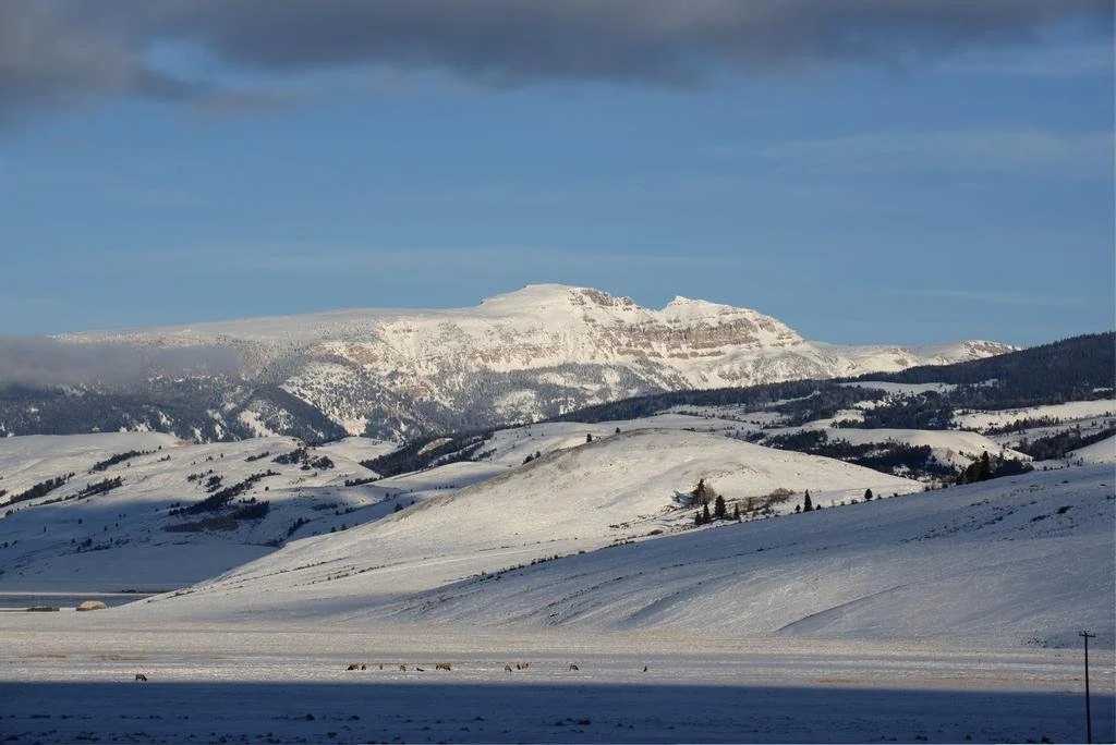 Elk Refuge Inn