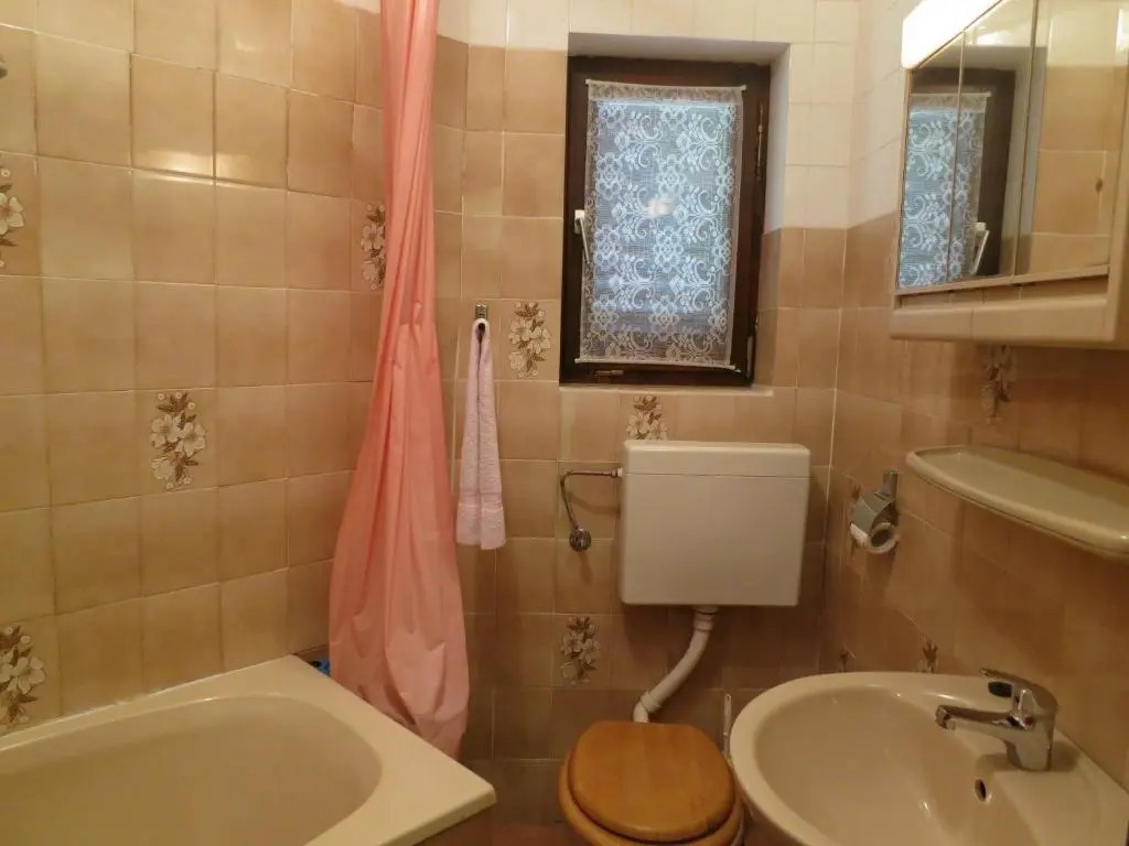 Apartment Branko