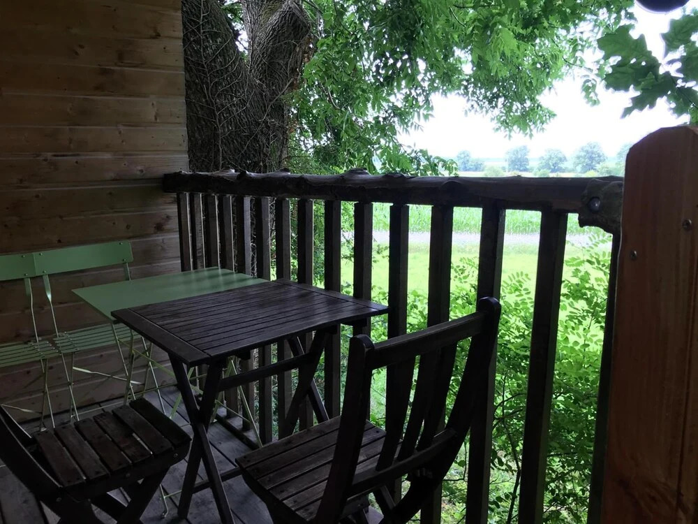 La Cabane aux Secrets - Domaine du Der, au milieu de nulle part