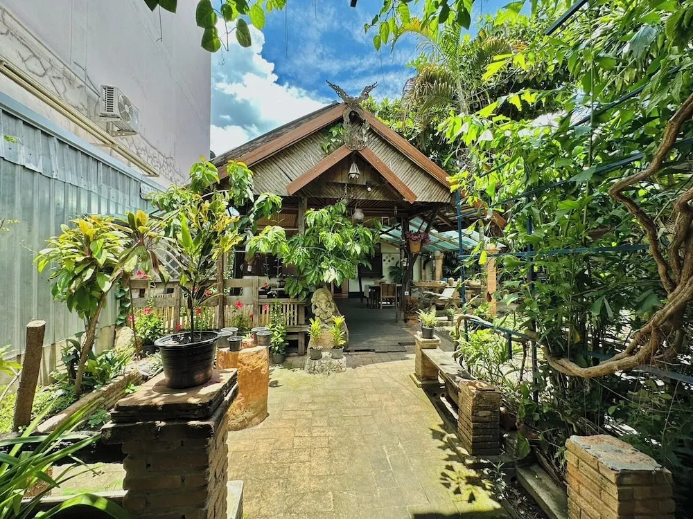 Cozy Nest CNX