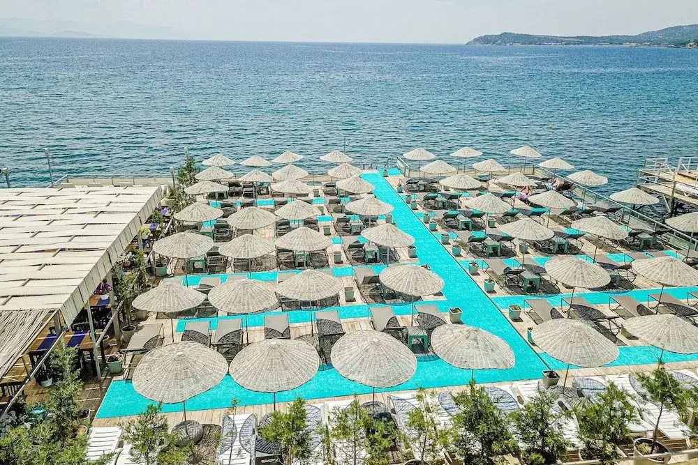 Assos Vi̇lla Natura