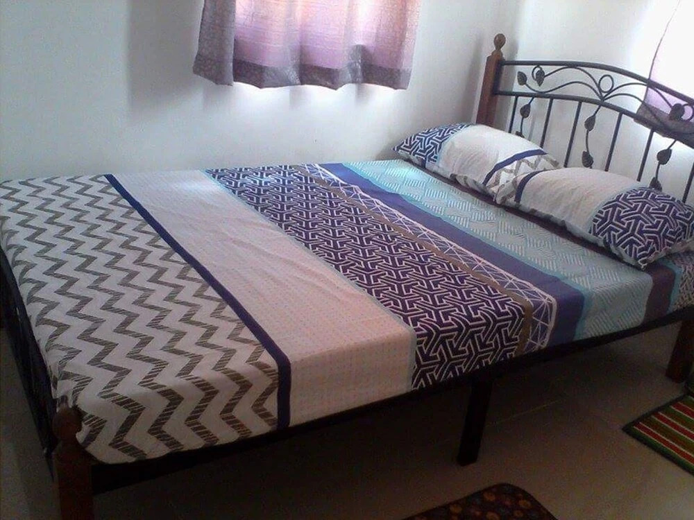 Camella Homes Bohol Furnished House