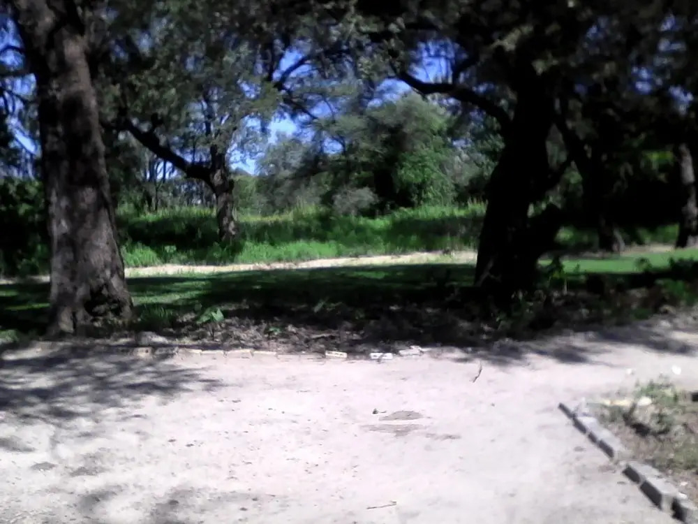 Chief's Guest House