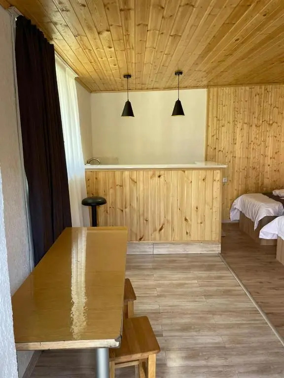 Apartament at Kazbegi