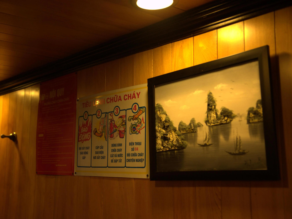 The Viet Beauty Cruise