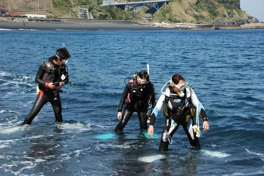 Miyakejima Snapper