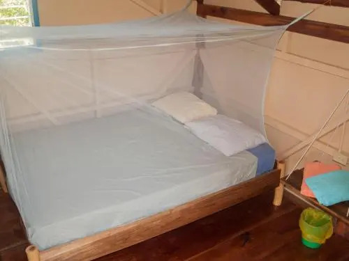 La Urraca Loca Hostel