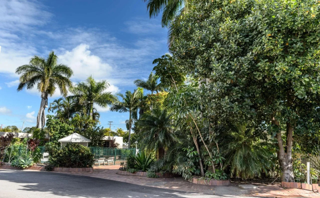 Bundaberg International