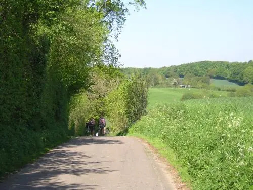 Schulwald