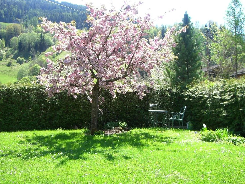 Appartements Basti