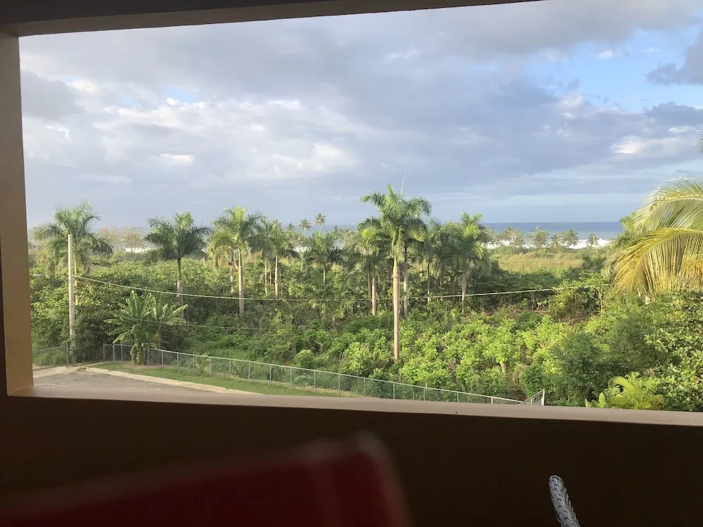 Las Palmas Inn