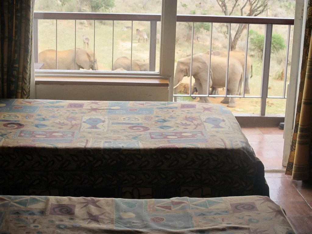Ngulia Safari Lodge