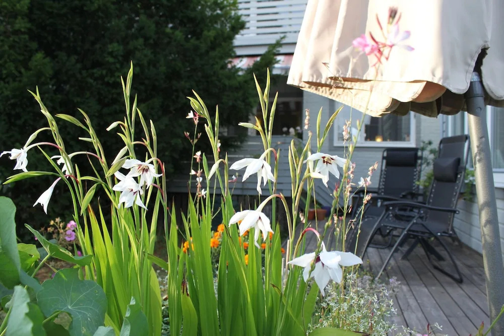 Hotell Zlafen Bed & Breakfast