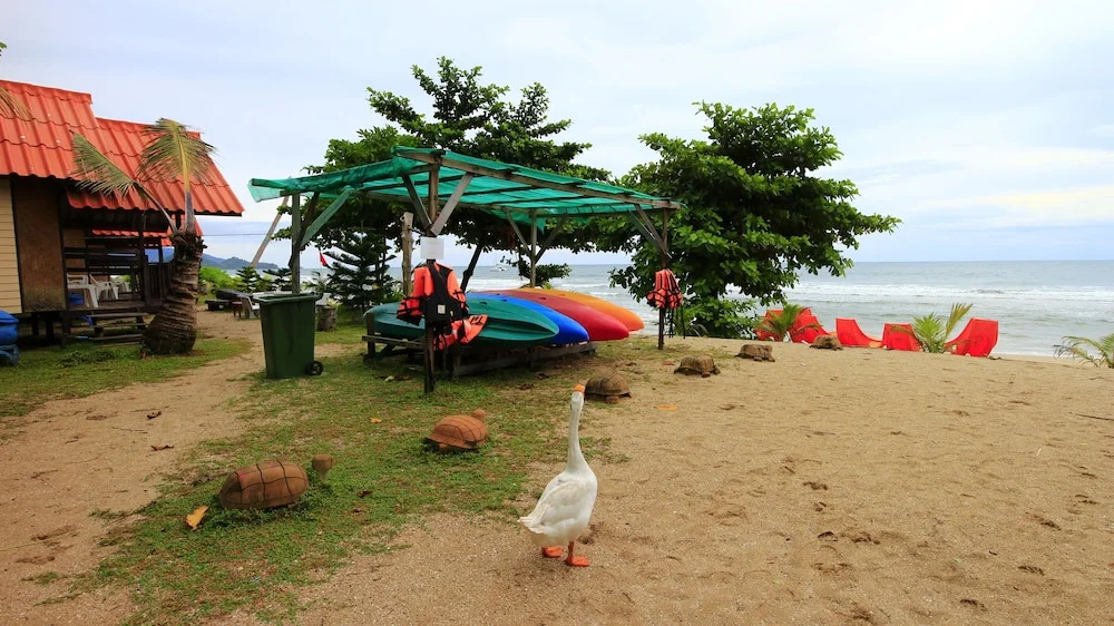 Sand Resort