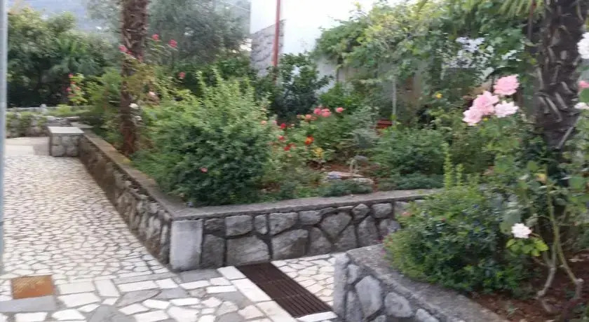 Apartments Miro