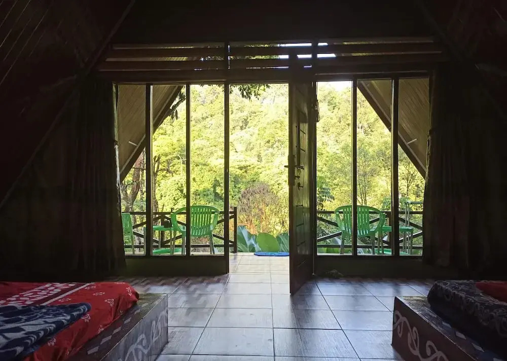 Green Forest Tangkahan