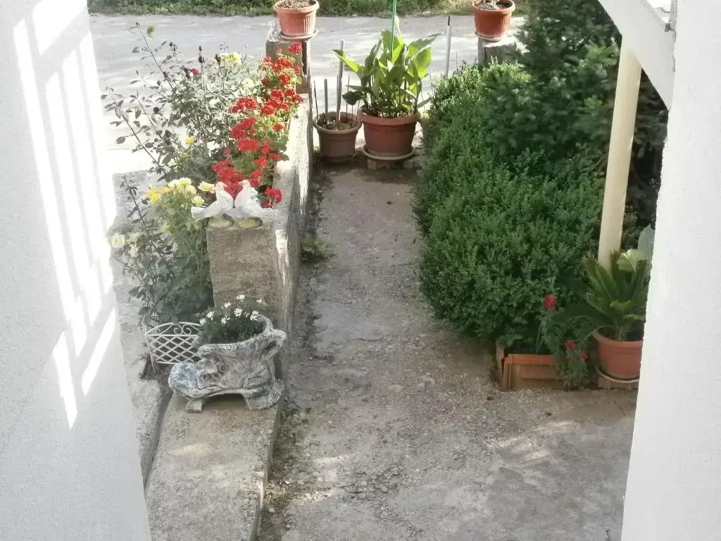 Villa Ana