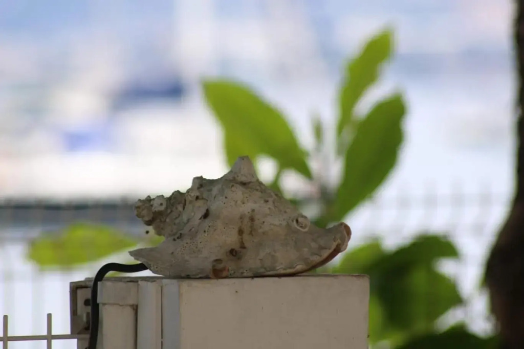 Studio ds résidence sécurisée avec vue & accès à la mer .