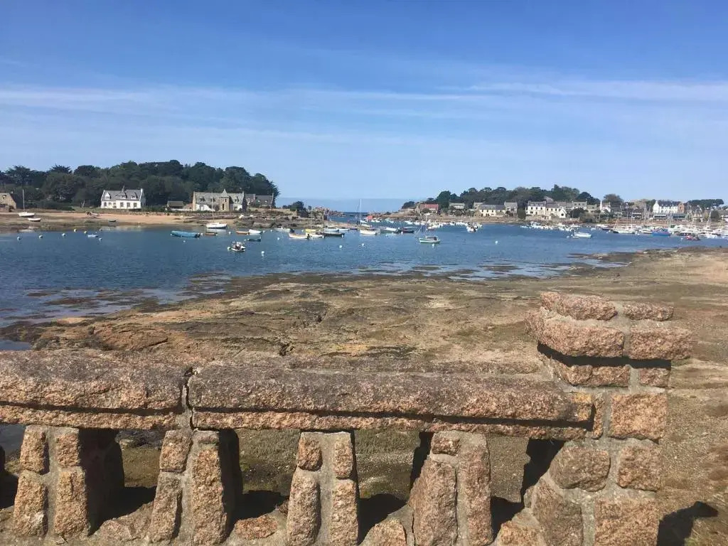 Appartement Perros-Guirec, 2 pièces, 4 personnes - FR-1-542-44