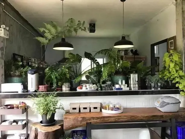 Phongtang Garden Homestay