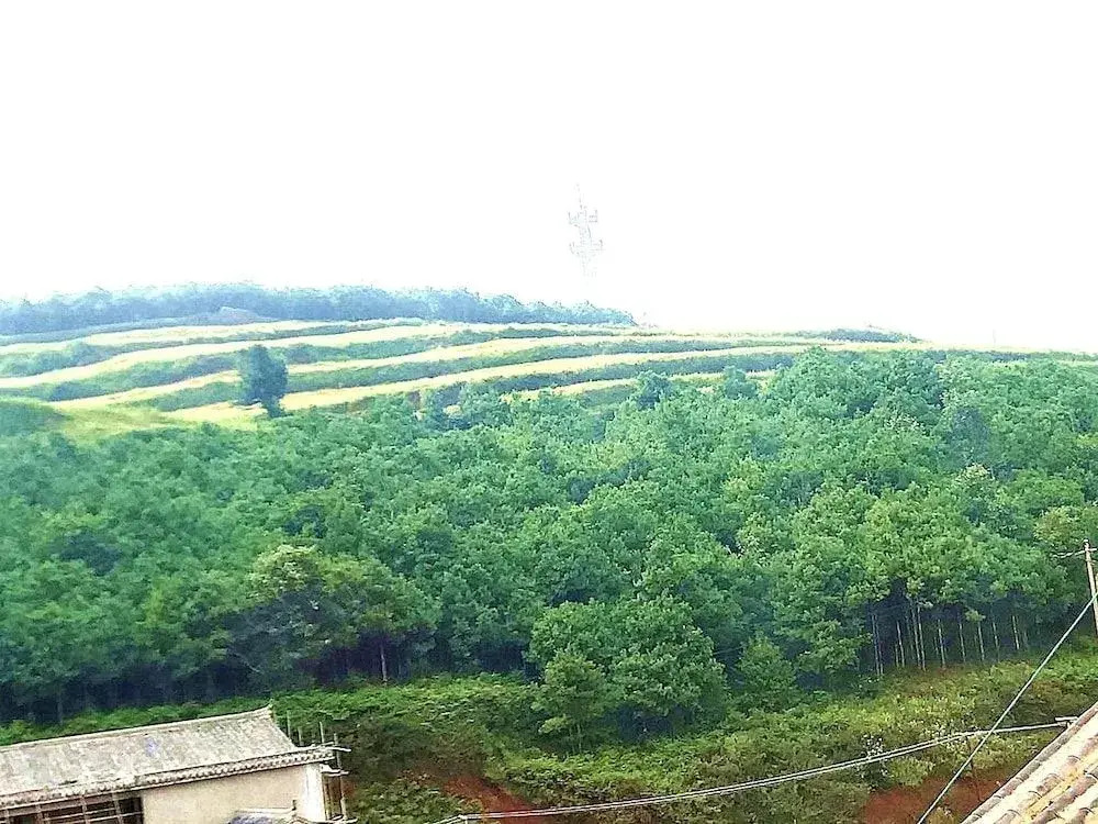 Hongjingxuan Hotel