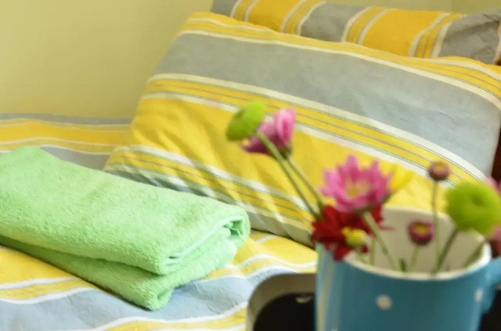 Zaya Guest House