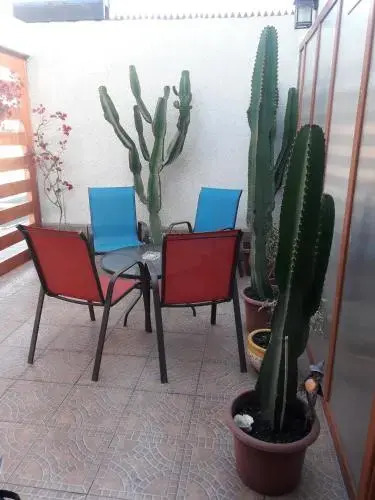 Hostal Cabib