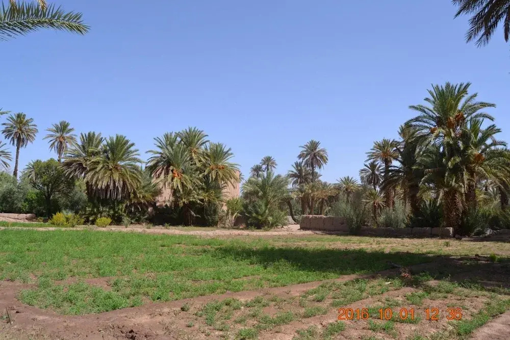 Gite Kasbah La Palmeraie