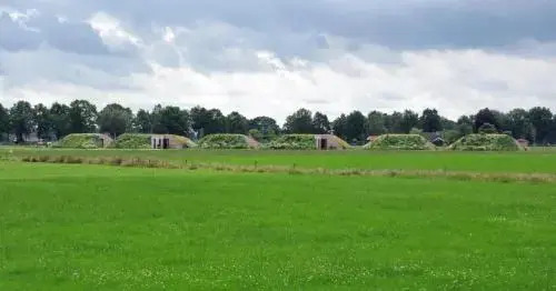 Koe in de Kost