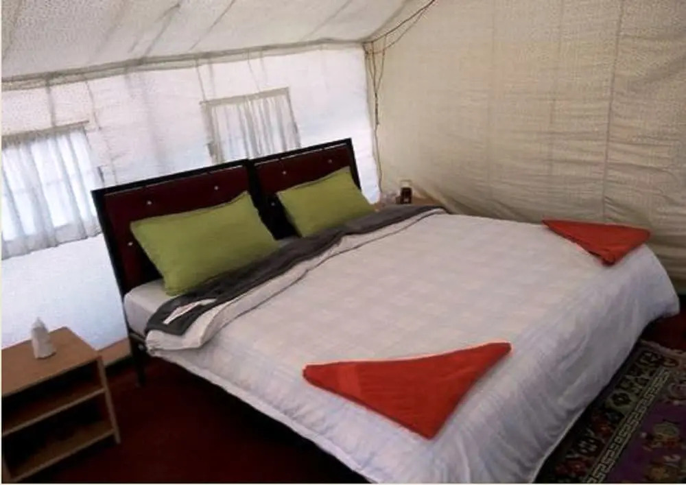 TIH The Regal Camp