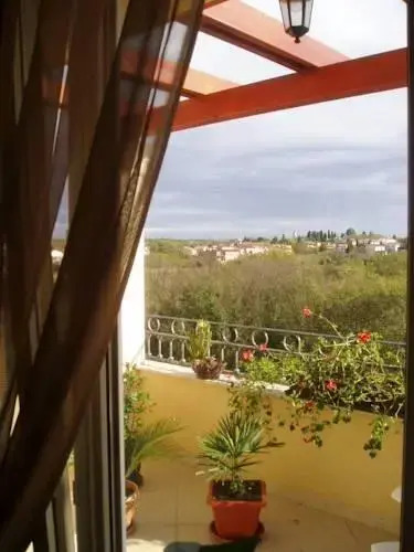 Apartment Latica