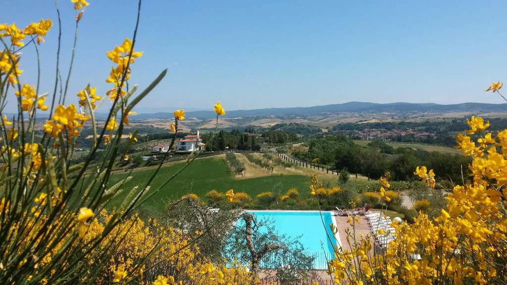 Holidays in Apartment With Swimming Pool