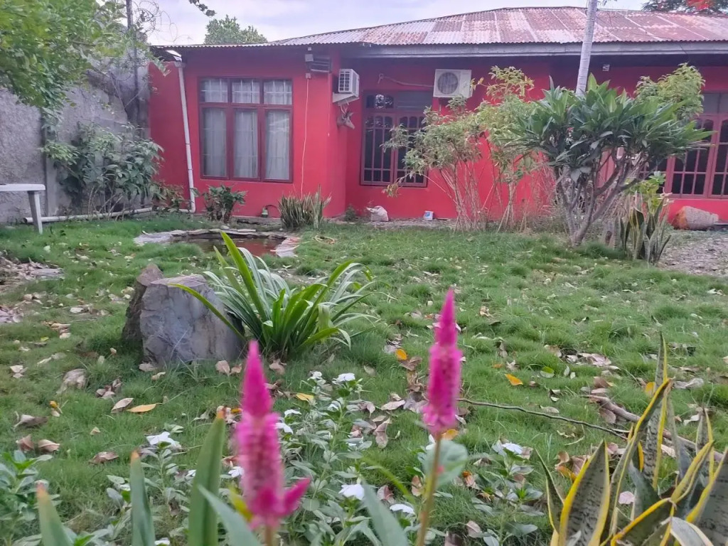 Casa Minha Backpackers Hostel