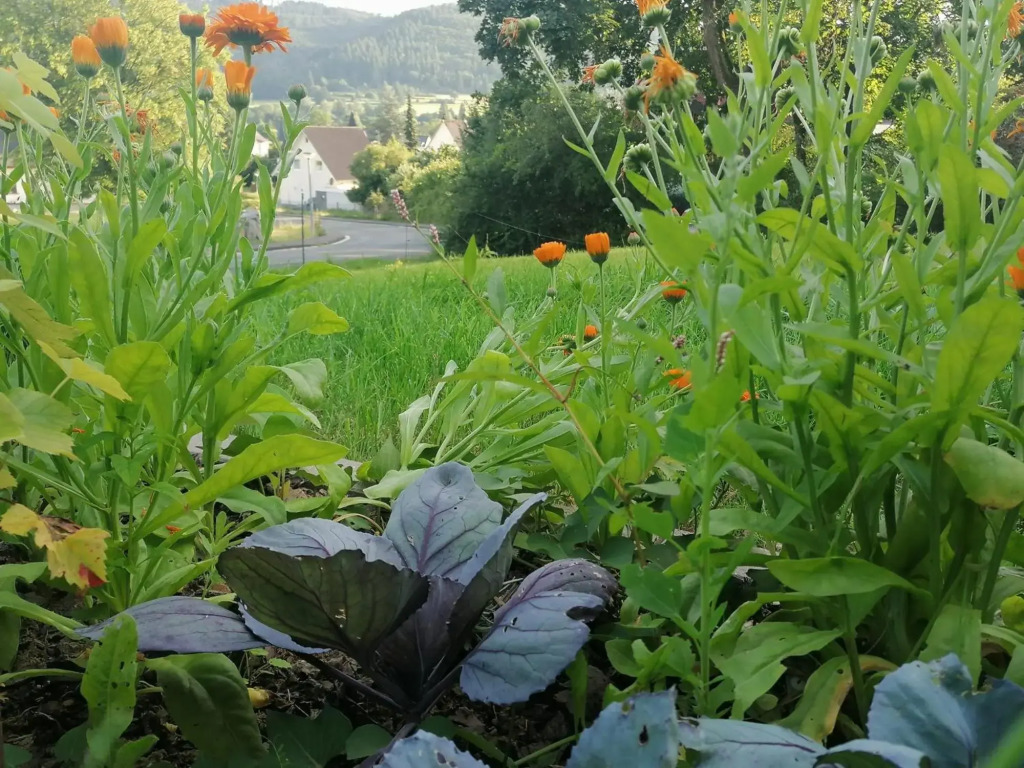 Villa Hinterland