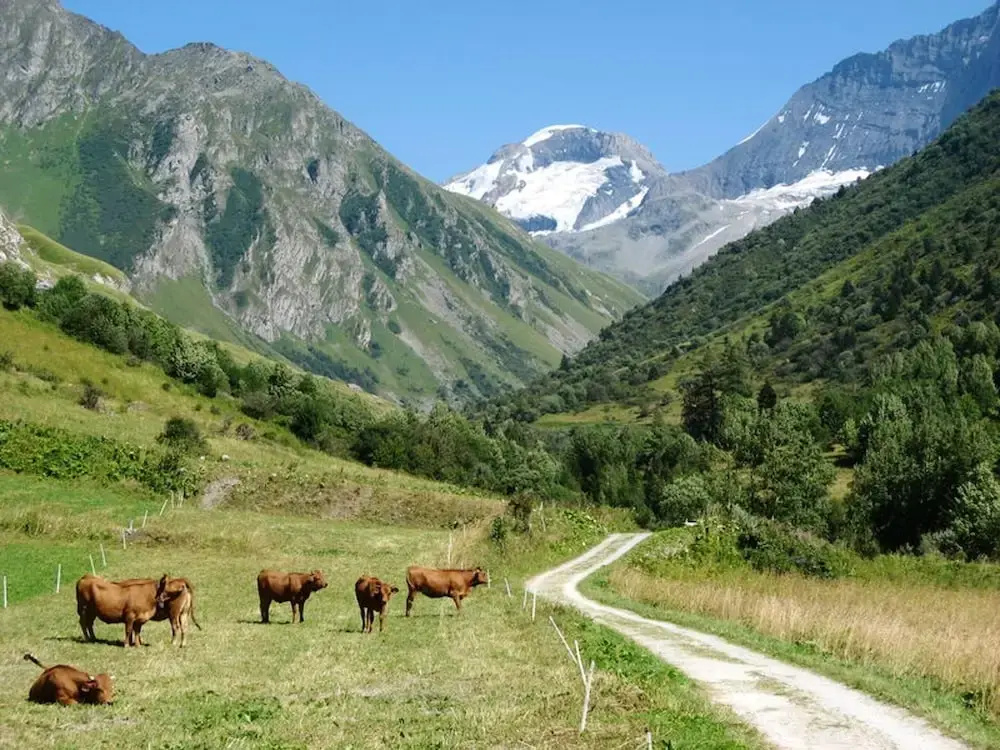 Apartment With 2 Bedrooms in Champagny-en-vanoise, With Furnished Garden and Wifi - 1 km From the Slopes