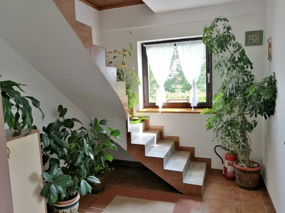 House Marica