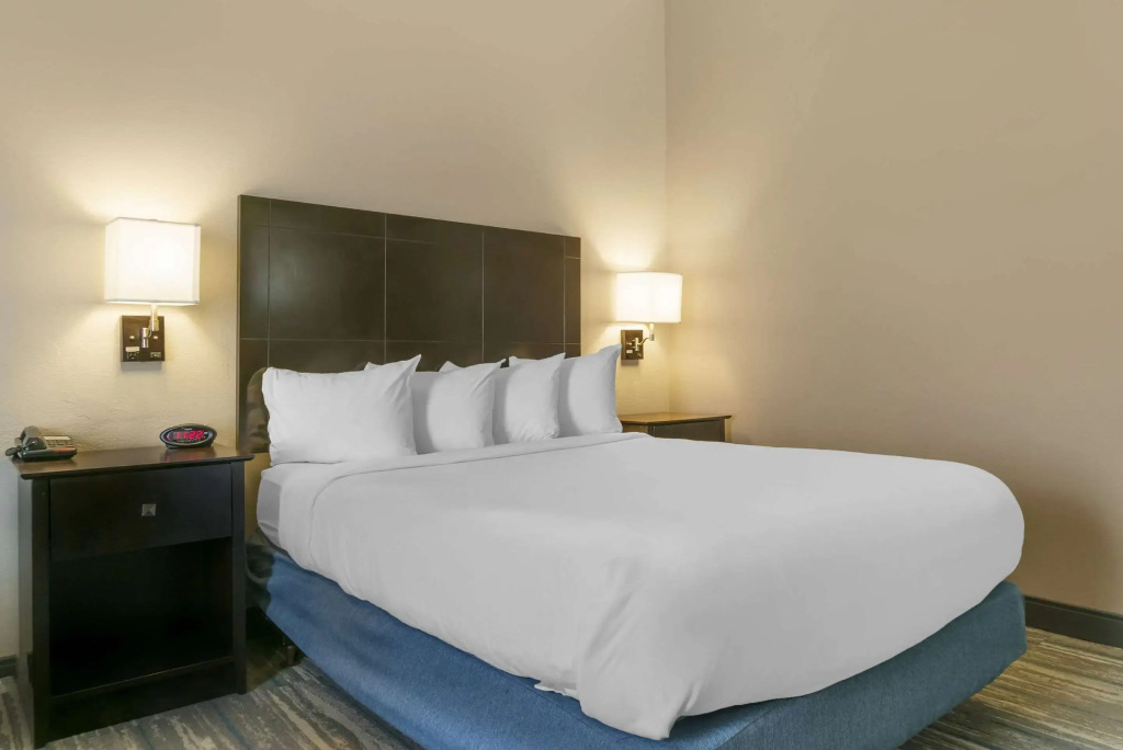 Comfort Inn & Suites Toledo North