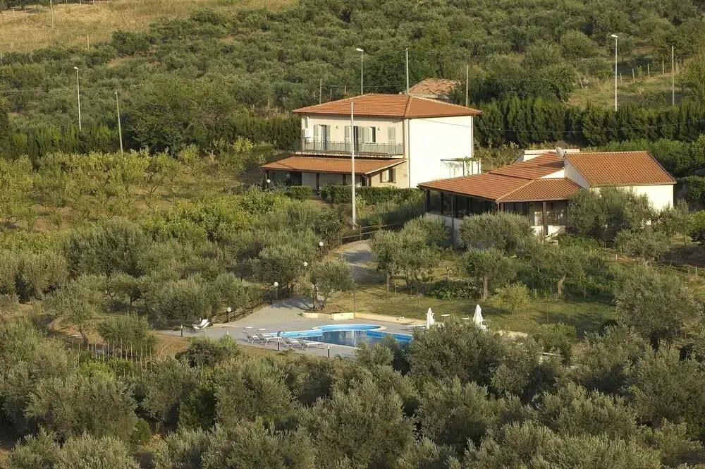 La Collina degli Ulivi