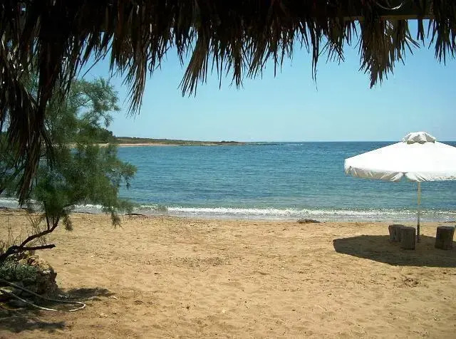 Vatsa Club
