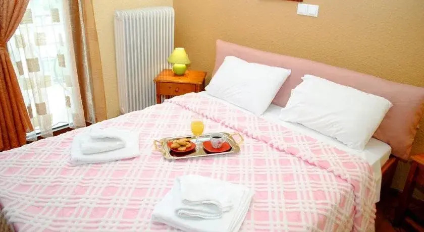 Hotel Aoos